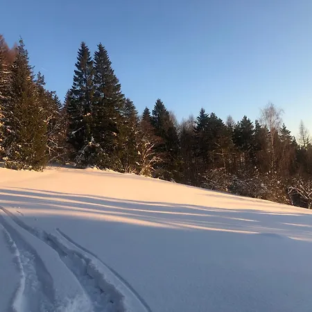 Jagusia Krynica Zdroj